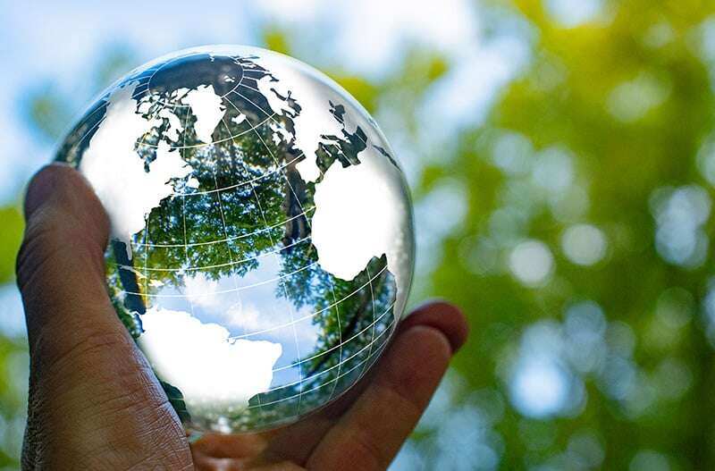 TransTech Group & Sustainability Go Hand-in-Hand - Reduce Emissions - Boost Profitability